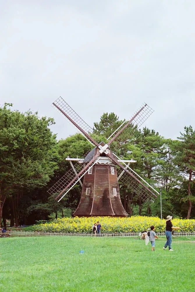 【作例】Nikon F4sに50mm1.8Dつけてちょっとそこまで