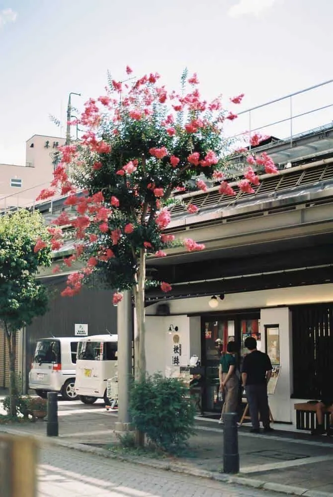 【2019年夏旅】飛騨高山へぶらり旅