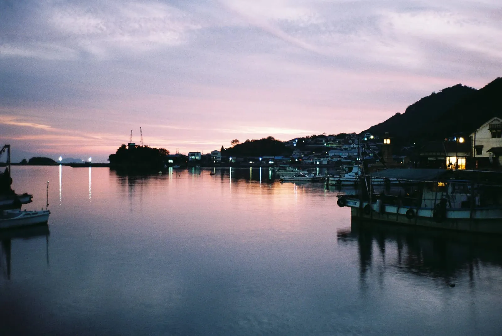 フィルムカメラで振り返る2019年の写真【2nd Roll】#カメクラの沼カレ2019