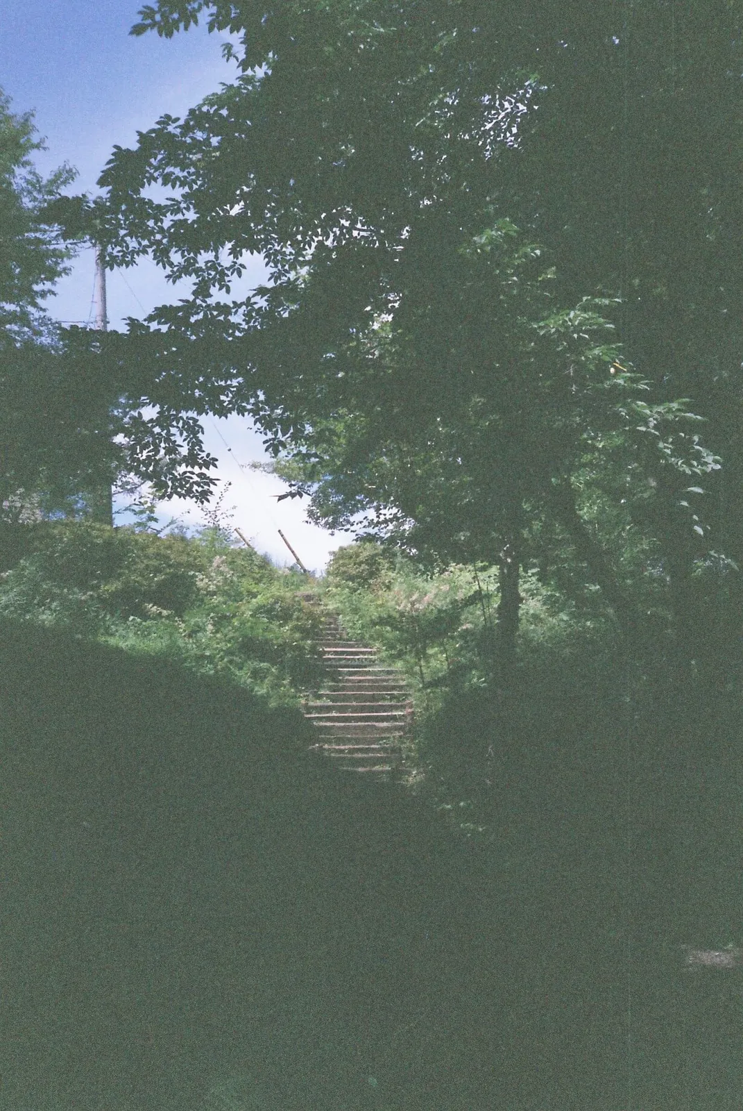 コンパクトフィルムカメラのKonica BiG miniが転がり込んできた