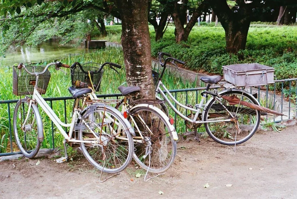 【作例】Nikon F4sに50mm1.8Dつけてちょっとそこまで