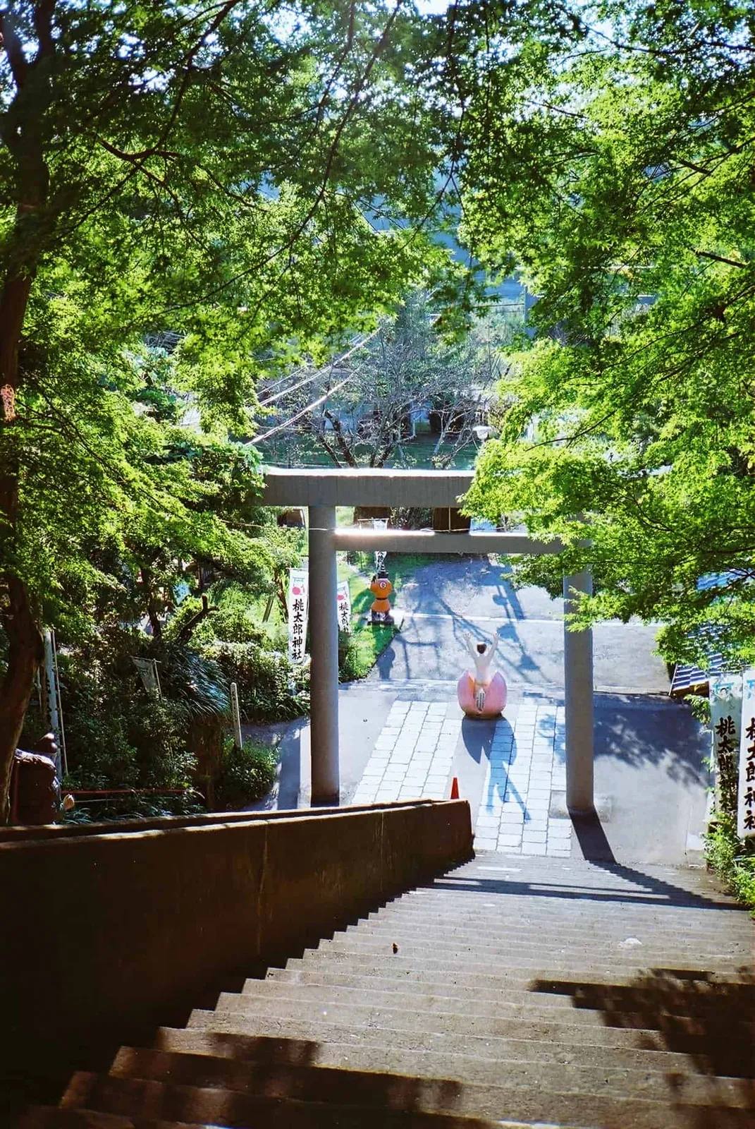 フィルムカメラで振り返る2019年の写真【2nd Roll】#カメクラの沼カレ2019