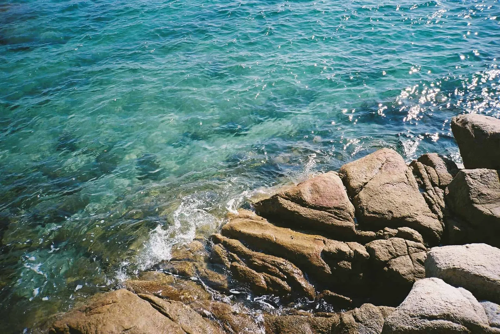 フィルムカメラで振り返る2019年の写真【2nd Roll】#カメクラの沼カレ2019