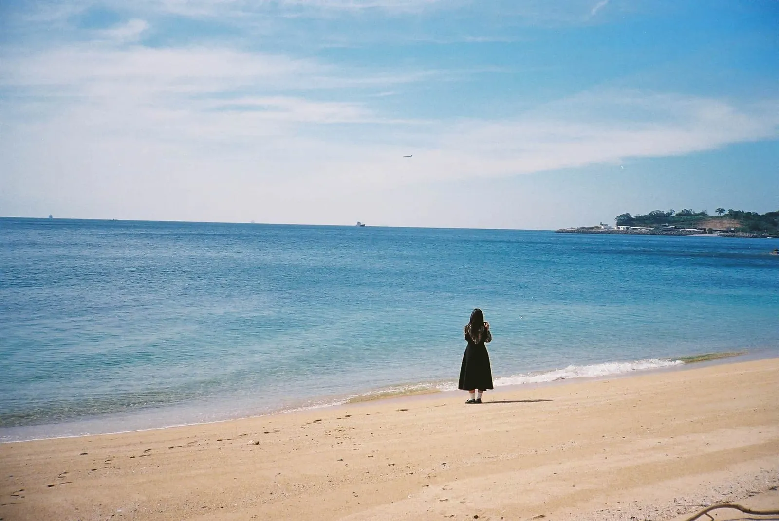 フィルムカメラで振り返る2019年の写真【2nd Roll】#カメクラの沼カレ2019