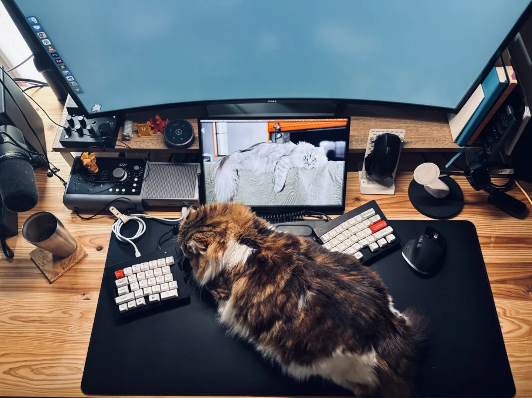 2PCオーディオ環境にもってこいのRØDE Caster Duo(ロードキャスターデュオ)