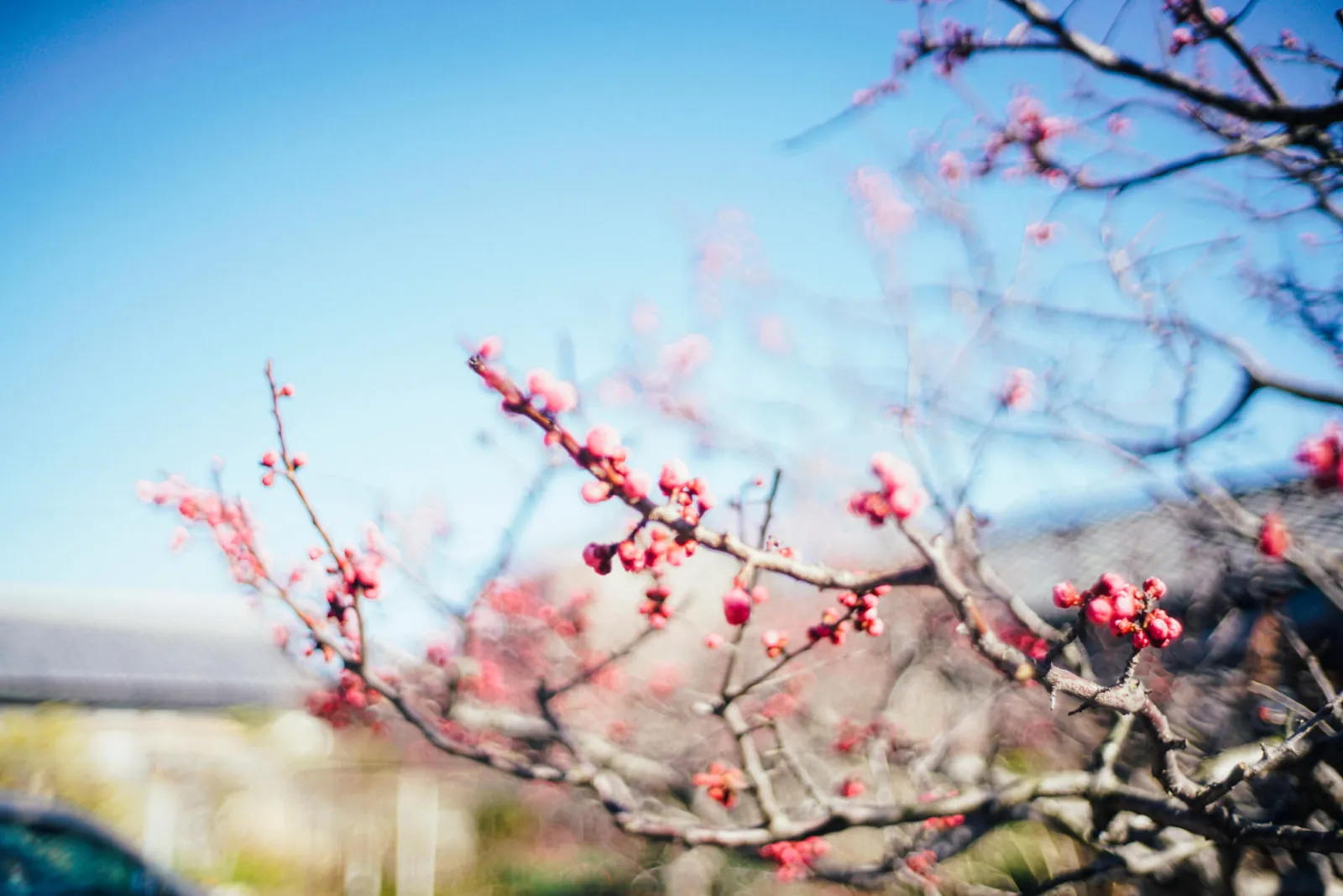 dsc0254 40700104672 o