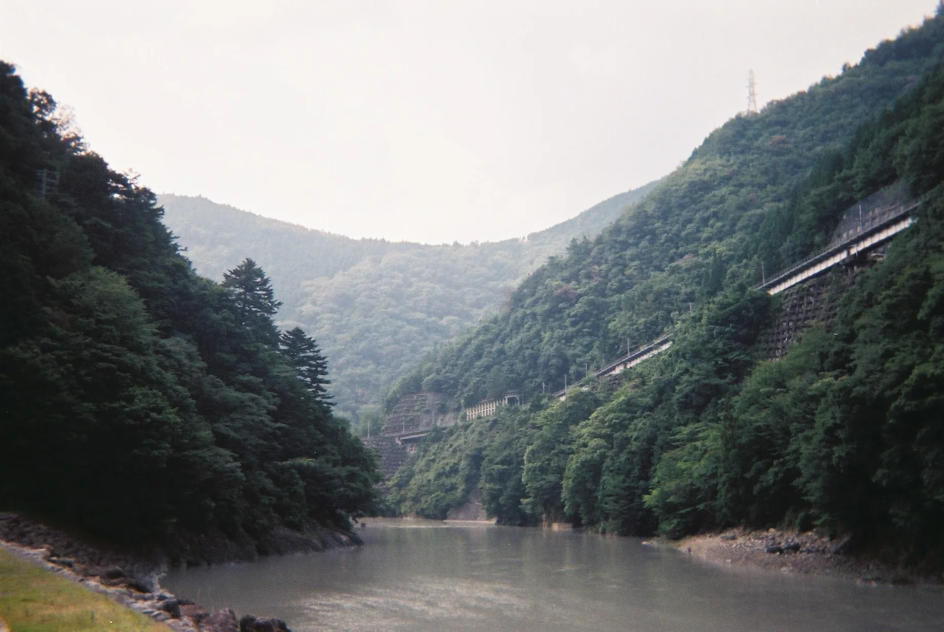 キャンプと写ルンです